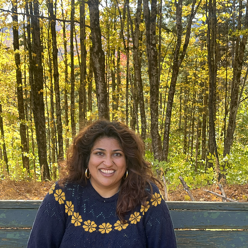 Raina Kulkarni, Aledade